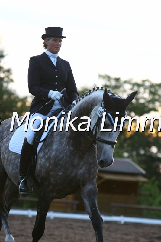 109M5361_Felino_Dressurpferde M.JPG